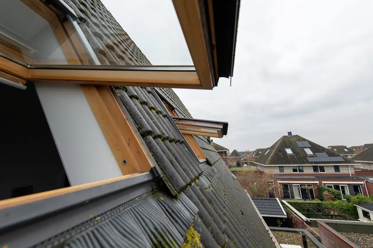 Due lucernari aperti, circondati da tegole nere ricoperte di muschio | Rivista VELUX