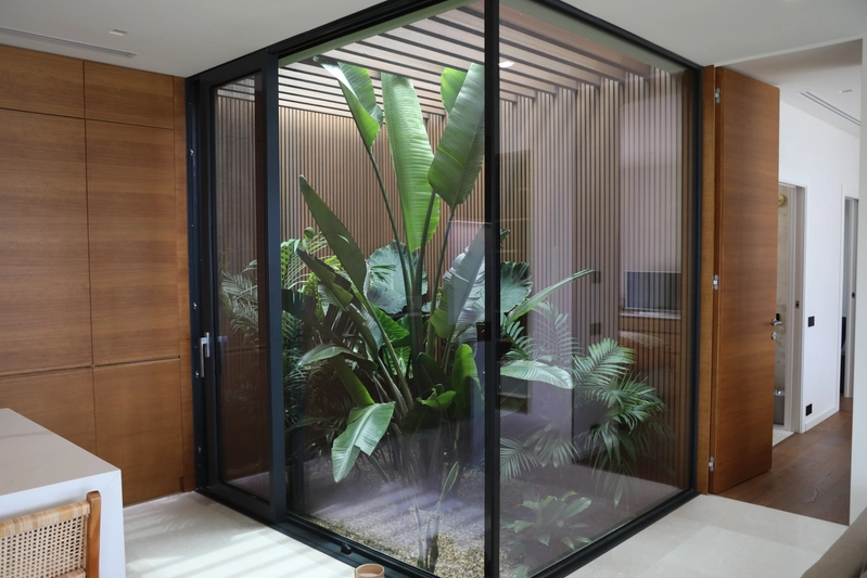 Very large green plant in glass display with daylight coming from above