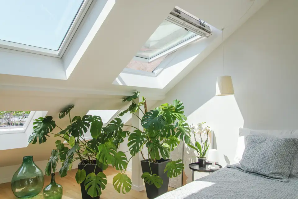 Een lichte, natuurlijk verlichte zolderkamer met een groot dakraam dat schuin open staat. De kamer heeft een assortiment groene potplanten bij het raam, een heldere glazen vaas op de vloer en een knus bed met kussens aan de rechterkant. De muren zijn wit en de ruimte straalt een serene en luchtige sfeer uit.