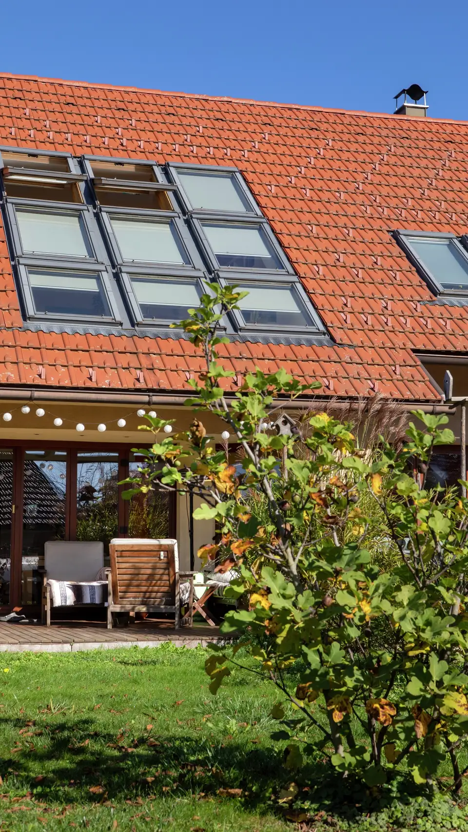 Dak vervangen: de complete gids   