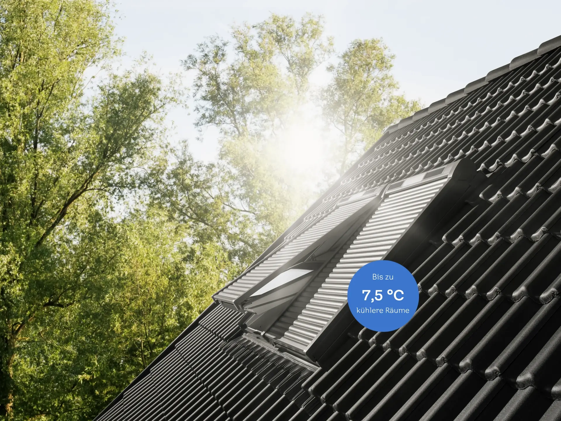 VELUX Dachfenster und Eindeckrahmen | Lüdecke-Shop