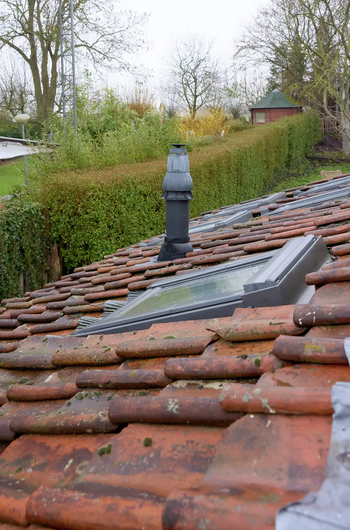 Blick auf mit Moos bewachsene rote Dachziegel und Dachfenster | VELUX Magazin