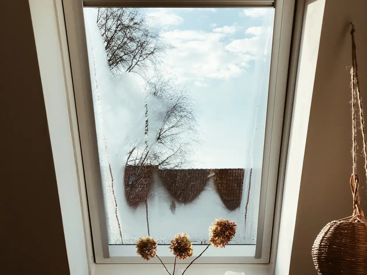 Vista dalla finestra sul tetto con condensa sul vetro della finestra | Rivista VELUX