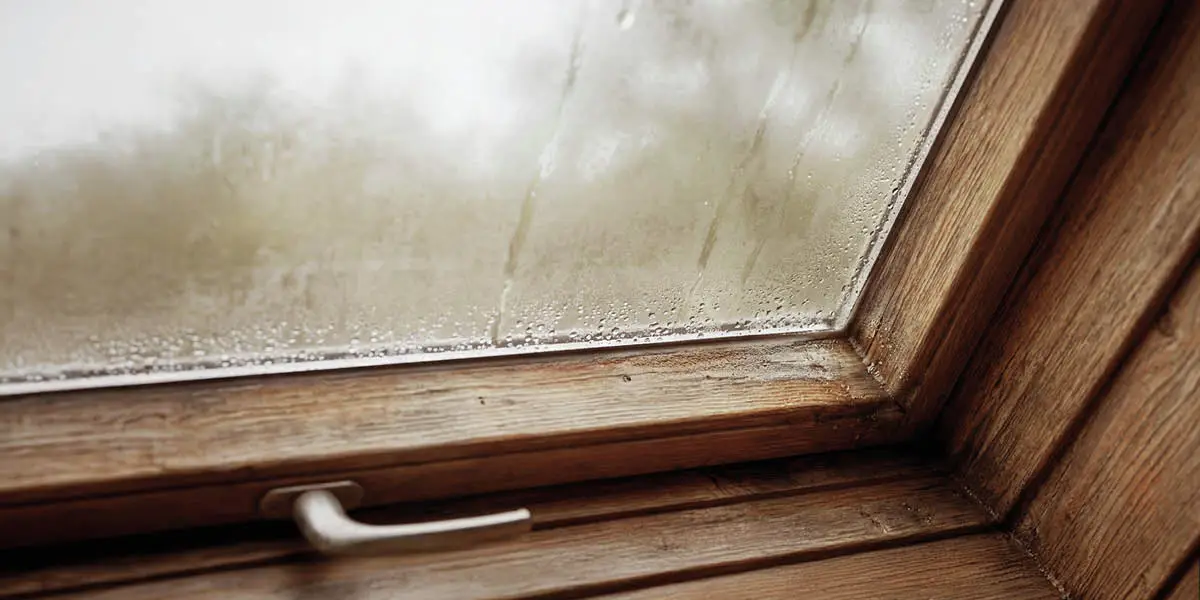 gros plan d'une fenêtre avec condensation sur le vitrage