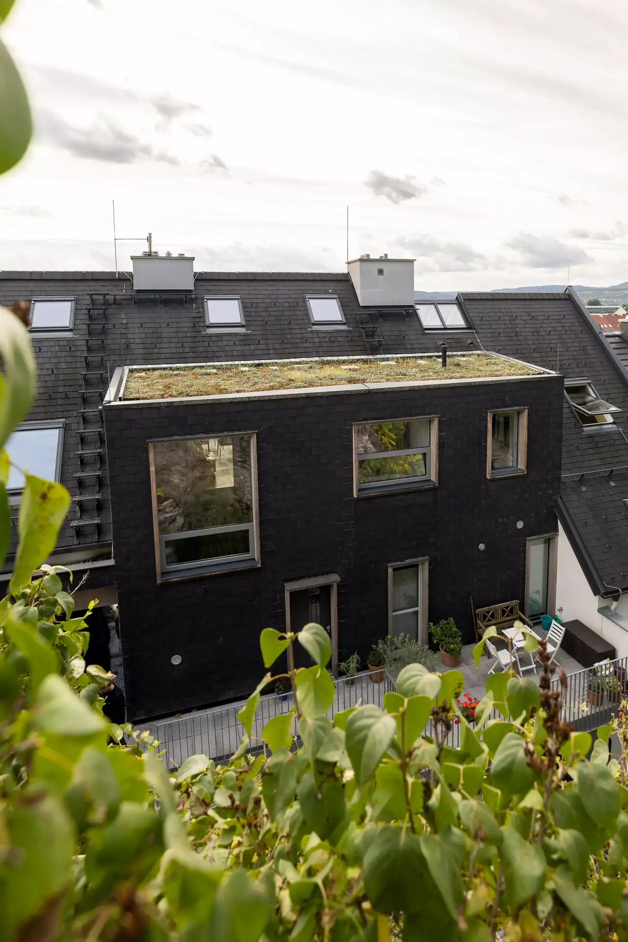 Extensive Dachbegrünung auf Flachdachterrasse mit Zubehör | VELUX Magazin