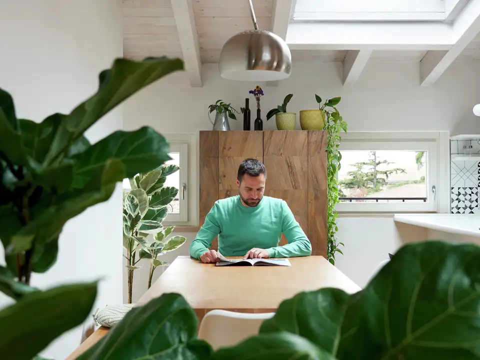 Mann in grünem Pullover sitzt lesend am Tisch umrankt von großblättrigen Zimmerpflanzen | VELUX Magazin