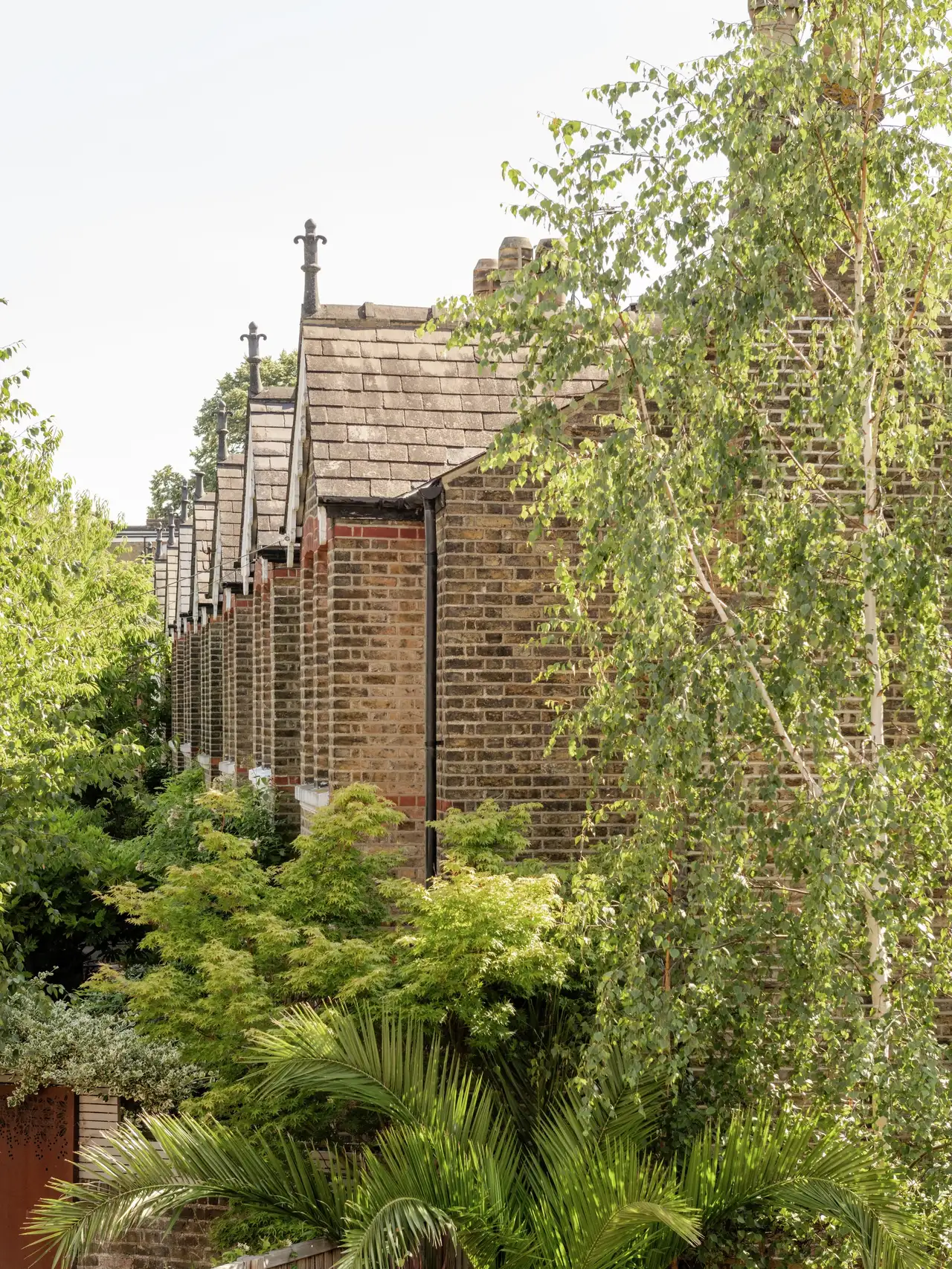Terraced houses surrounded by lush greenery on a sunny day.