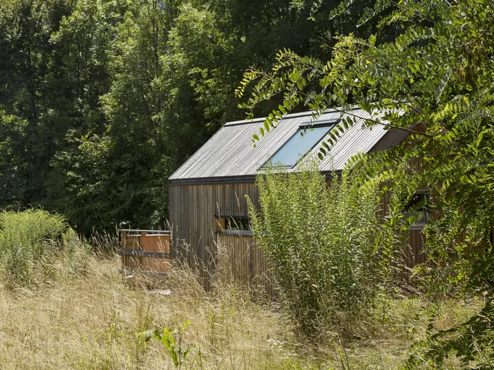 Rustische Hütte mit VELUX Dachflächenfenstern in einer dichten Waldlichtung