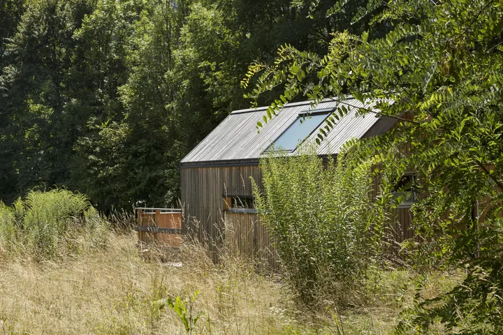 Hütte mit VELUX Dachflächenfenstern in einer Waldlichtung, umgeben von Grün.