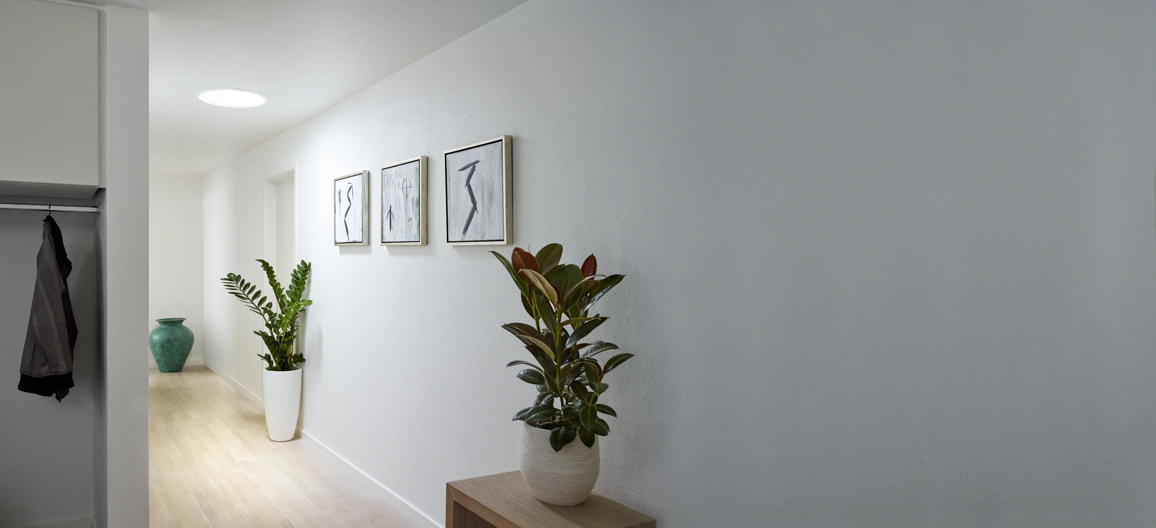Modern corridor with minimalist decor and indoor plants.