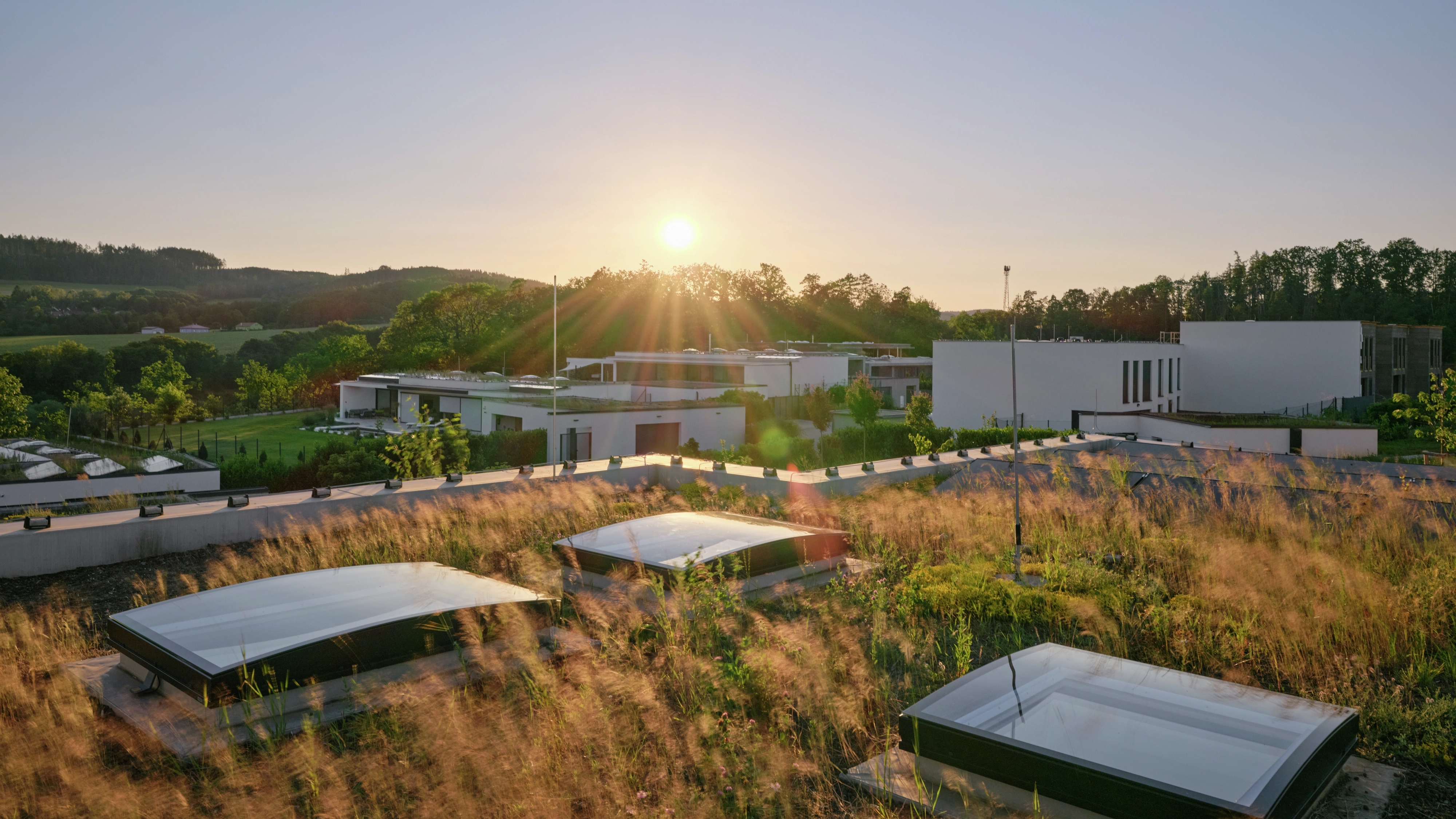 VELUX flat roof windows set into a grassy green roof at sunset over modern homes