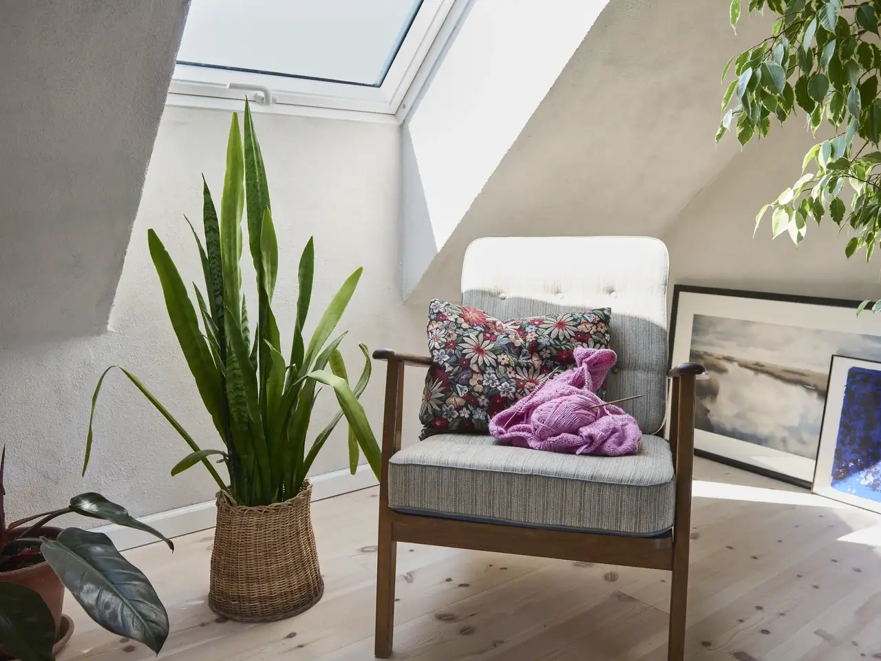 Luftreinigende Pflanzen | VELUX Magazin
