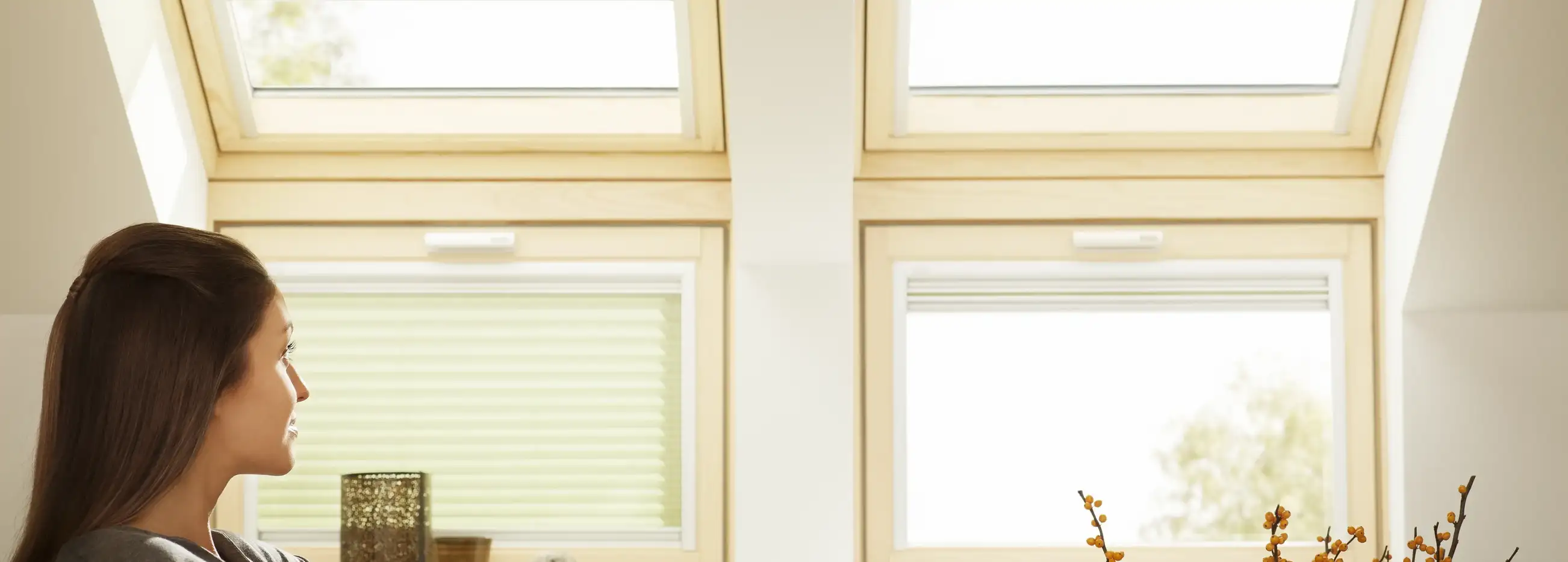 Attic room with VELUX roof windows, natural light, and cozy seating.