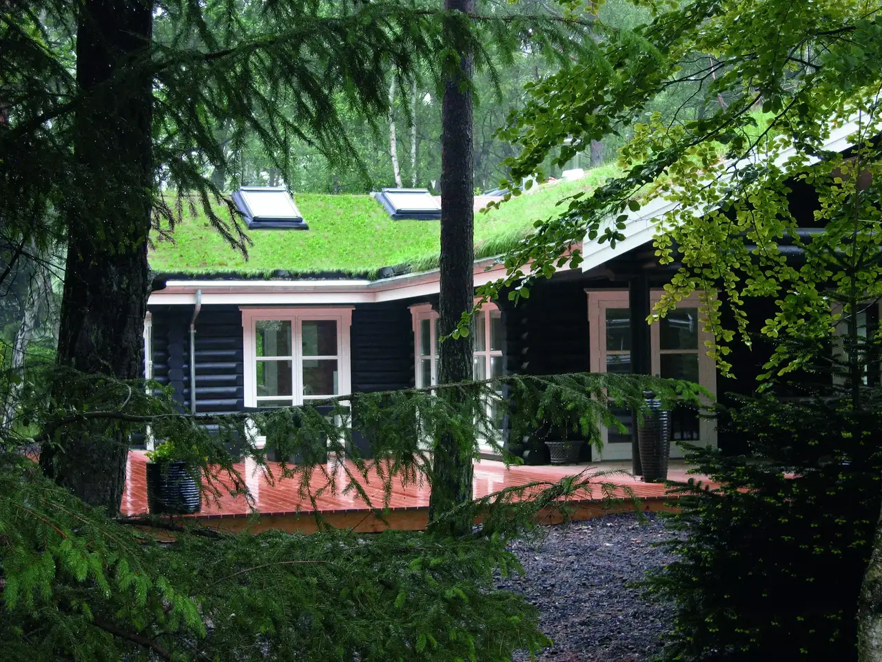 Entzückende Waldhütte mit grünem Dach und VELUX Fenstern inmitten von Bäumen.