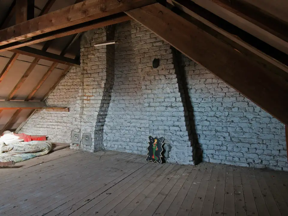 Martre dans les combles : comment éviter qu'elle s'installe sous votre toit