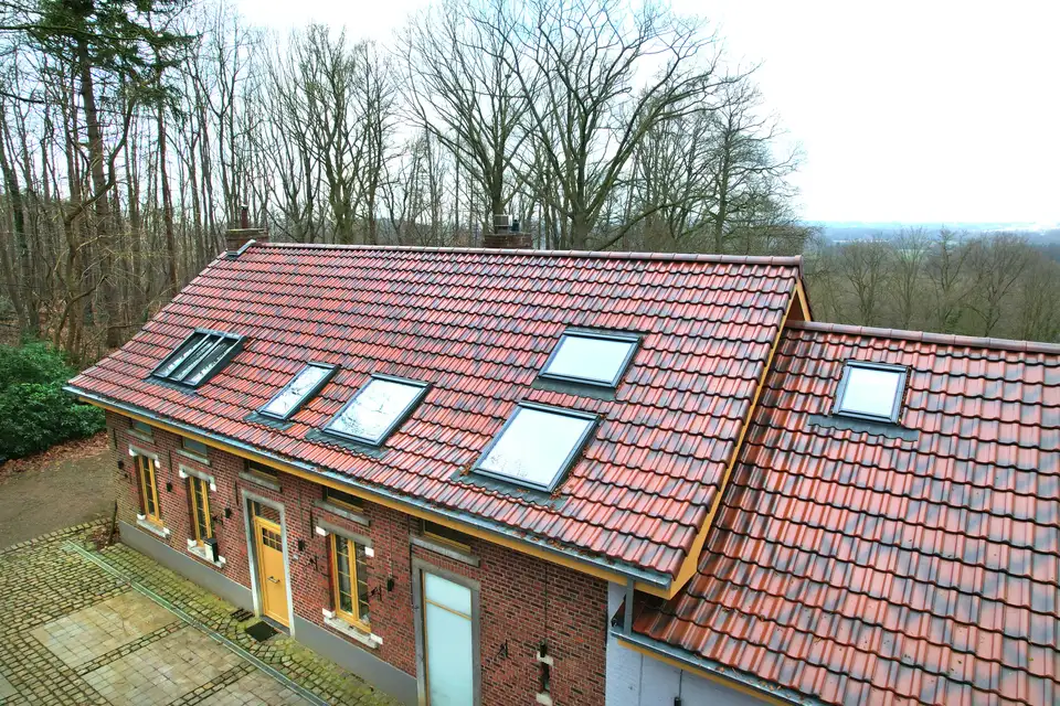 Zicht op het dak van een huis met VELUX dakvensters