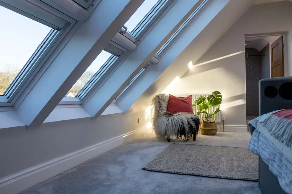 plantes vertes dans une chambre sous combles
