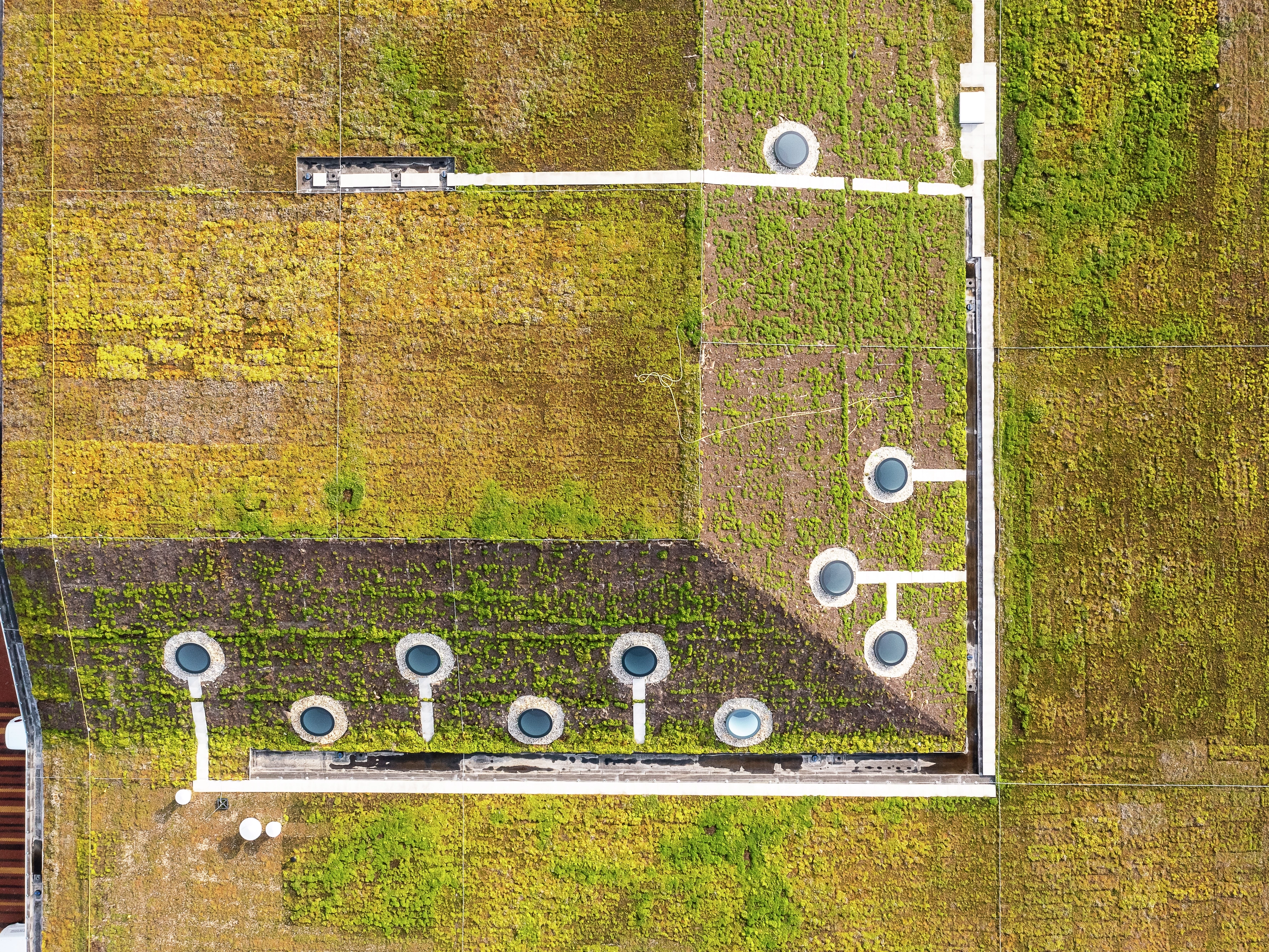 Vista dall’alto del tetto verde e dei lucernari VELUX Circularlight del padiglione Omnia della Wageningen University & Research nei Paesi Bassi