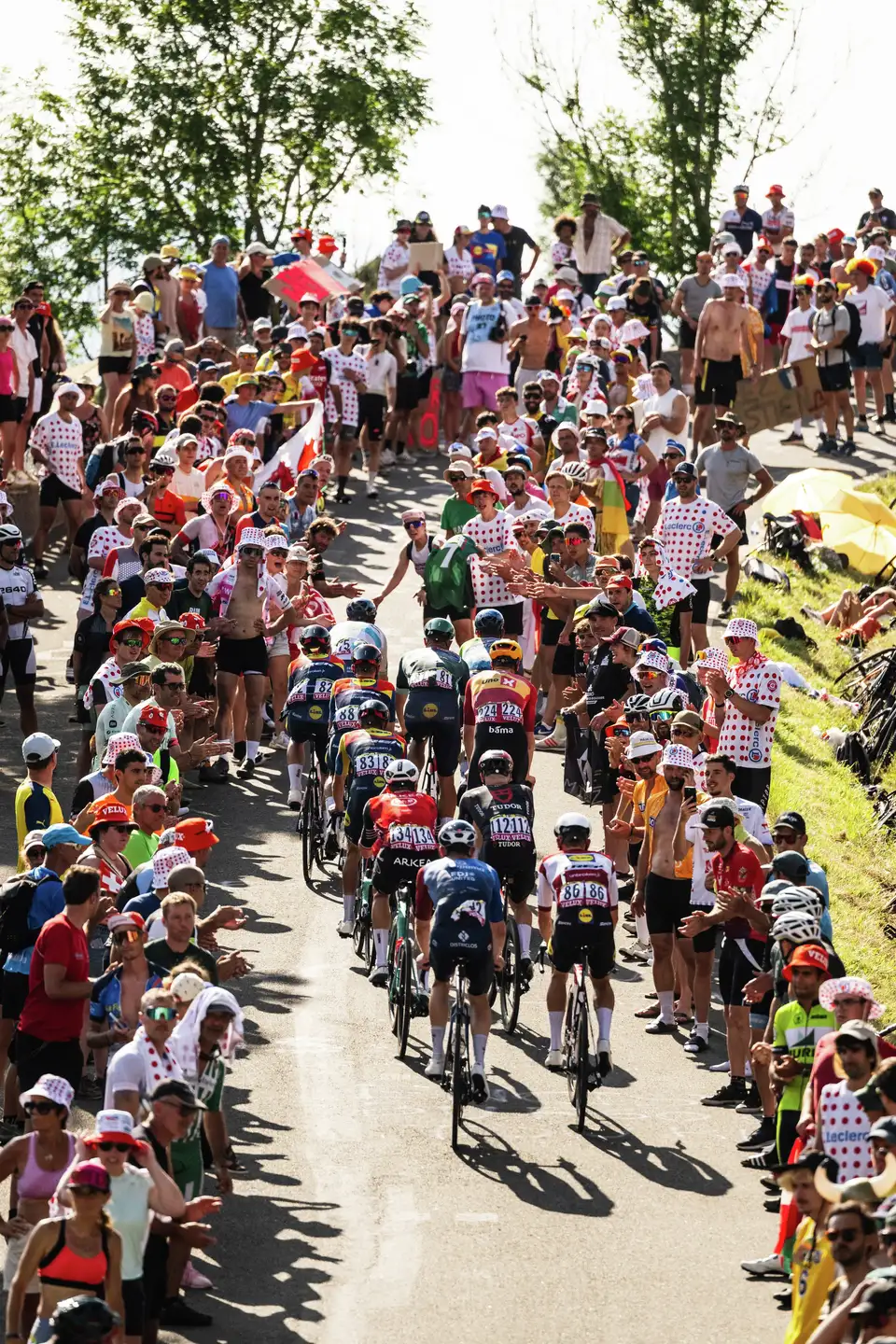 Kolesarji drvijo skozi množico navijačev, ki jih glasno spodbujajo na sončen dan med dirko Tour de France 2025.