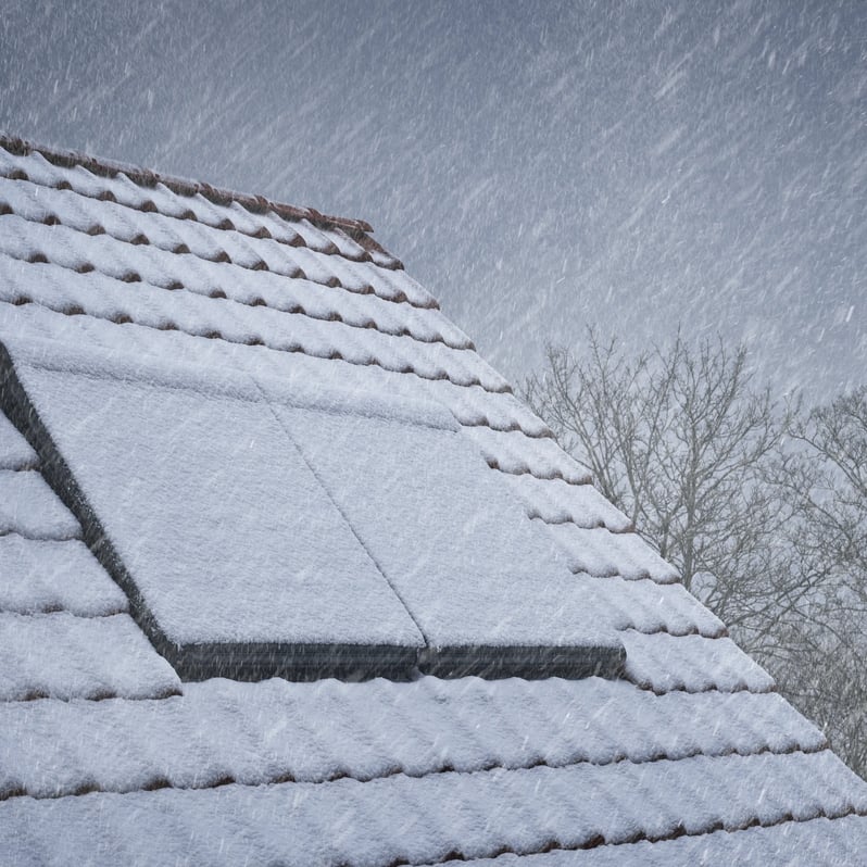 Snow-covered roof with closed VELUX roof window and surrounding trees.