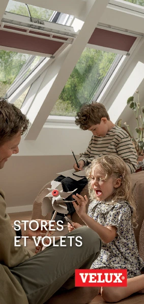 Brochure DSP - France