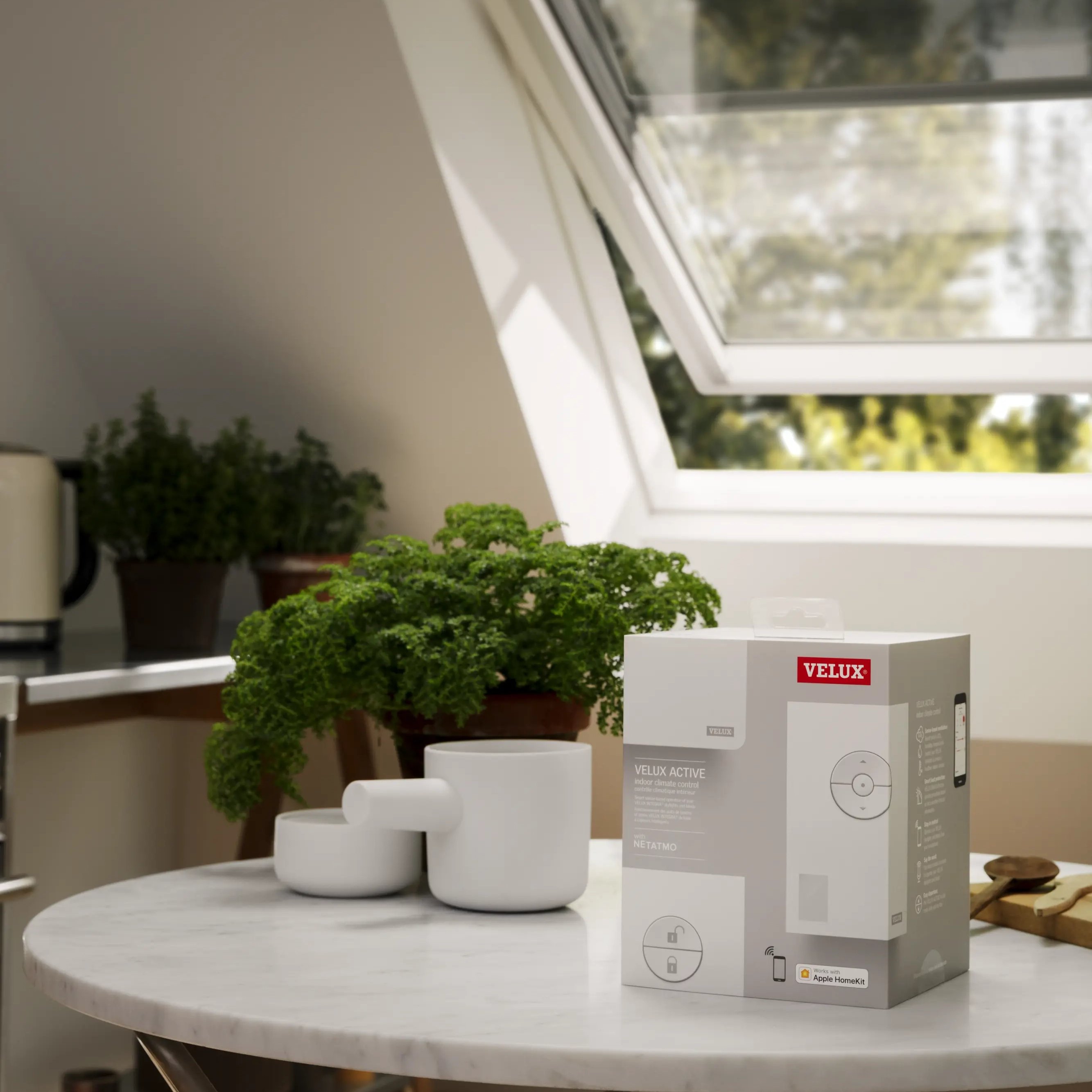 Kitchen with open VELUX roof window, natural light and plants.