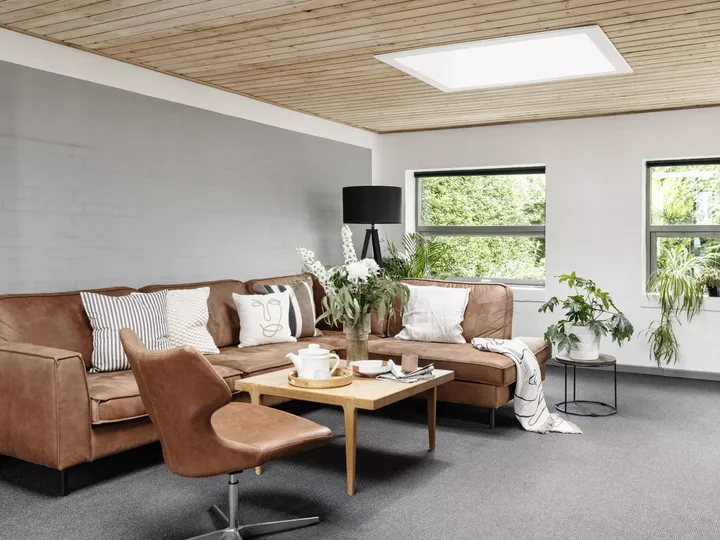 Modernes Wohnzimmer mit natürlichem Licht von VELUX Dachflächenfenster, Ledersofa und Zimmerpflanzen.