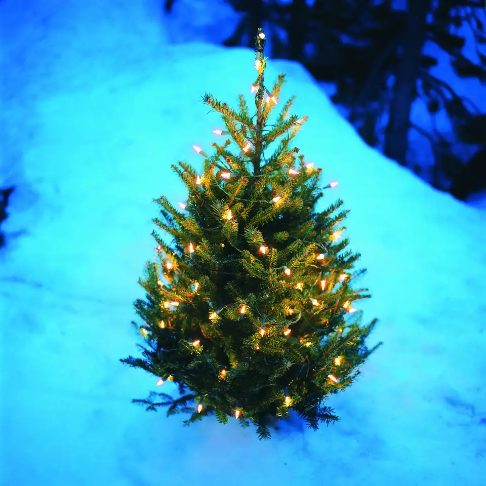 Albero di Natale con luci per esterno illuminato nella neve