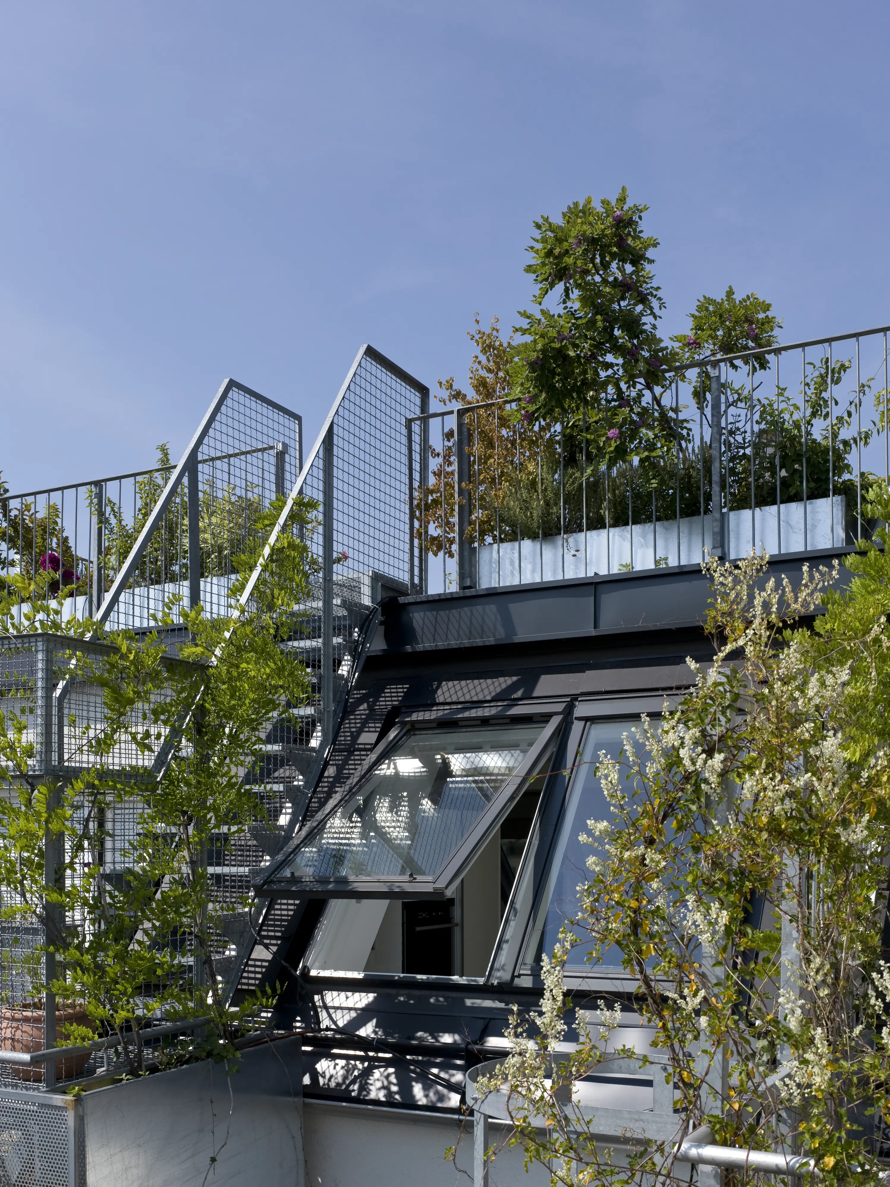 Deux fenêtres de toit VELUX installées sur un toit-terrasse