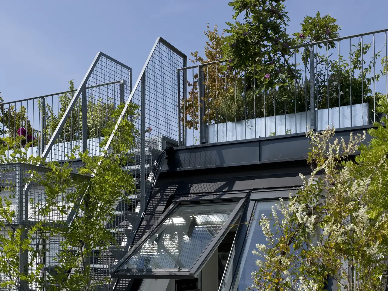 Vista dall'esterno del lucernario circondato da piante sulle scale della terrazza sul tetto | Rivista VELUX